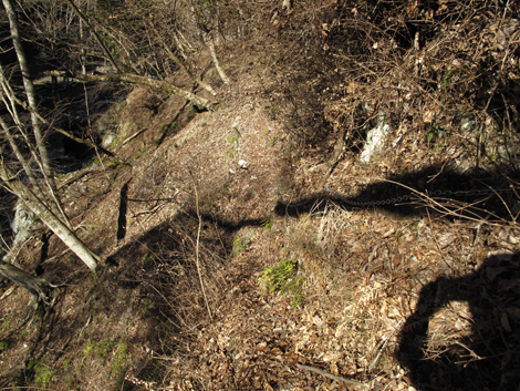 20190121hike (22)